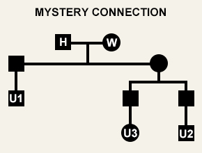 Mystery_Connection